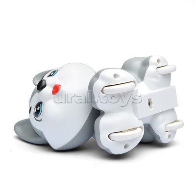 Собака "Красивая хаски" в коробке