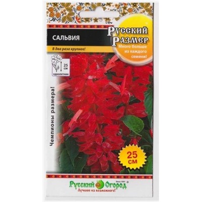 Сальвия Русский размер (Код: 14279)