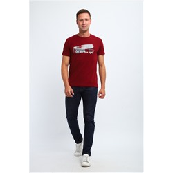 Футболка мужская 058