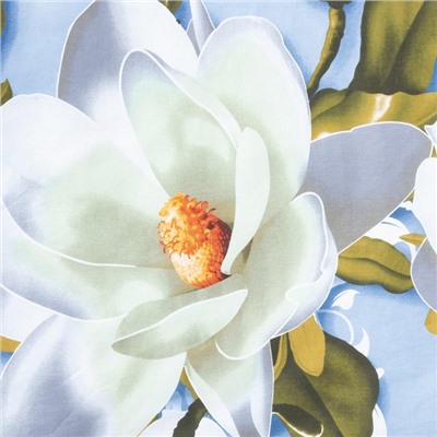 Пододеяльник евро «Этель. Кувшинки», 200×217 см, бязь