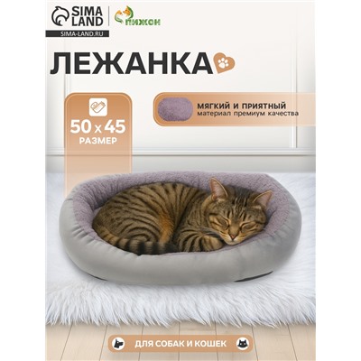 Лежанка для животных, 50×45 см, серый