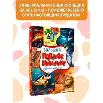 АСТ Ликсо В.В., Тараканова М.В., Хомич Е.О. и др. "Большой подарок школьнику"