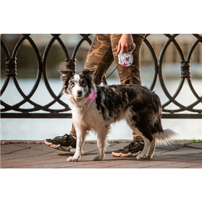 Рулетка «Салют», 5 м, до 35 кг, принт, белая