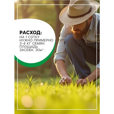 Газонная травосмесь «Красотень», «Гном» 1 кг