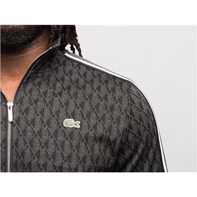 Спортивный костюм Lacoste