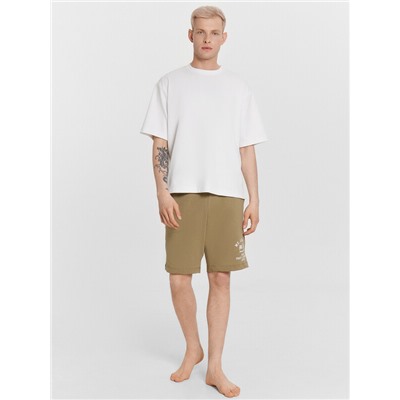 ШОРТЫ МУЖСКИЕ 531027-1