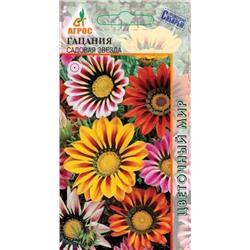 Гацания Садовая звезда (Код: 90826)