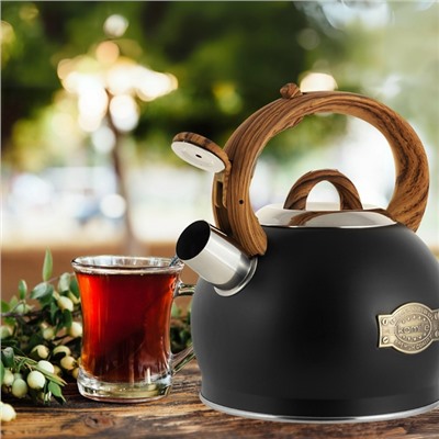 Чайник #23062776