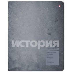 Тетрадь  48л "ЦВЕТ КАМНЯ/STONE COLOR" по истории 7-48-1358/04 Альт
