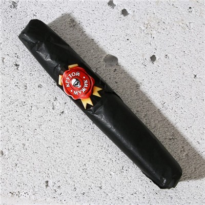 Подарочный набор мужской «На удачу», гель для душа во флаконе виски 250 мл и мыло в форме сигары