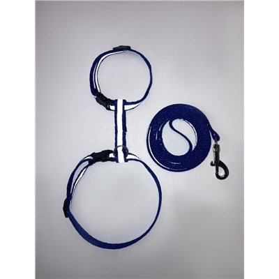 Комплект для кошек, шлейка 21-35 см, ширина 1 см, поводок 120 см, светоотражающий, синий