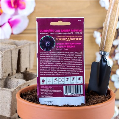 Семена цветов Петуния "Черная вишня" F1 многоцветковая, О, гранулы, пробирка, ц/п,4 шт.