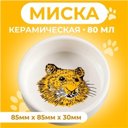 Миска для грызунов «Сытая мордочка», 80 мл 8.5×3 см, керамика, белая