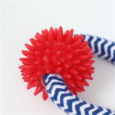 Игрушка канатная «Массажная» с узлом, до 65 г, до 30 см, микс цветов