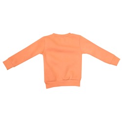 5522 Джемпер для девочки утепленный