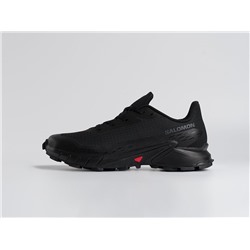 Кроссовки Salomon Alphacross 5 GTX