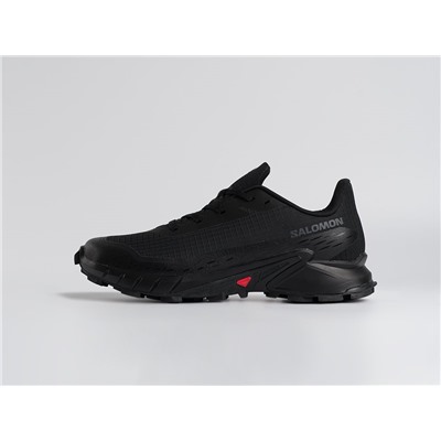 Кроссовки Salomon Alphacross 5 GTX