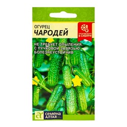 Семена Огурец "Чародей", F1, Сем. Алт, ц/п, 6 шт