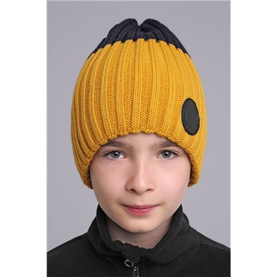 Шапка CLEVER, 1040990