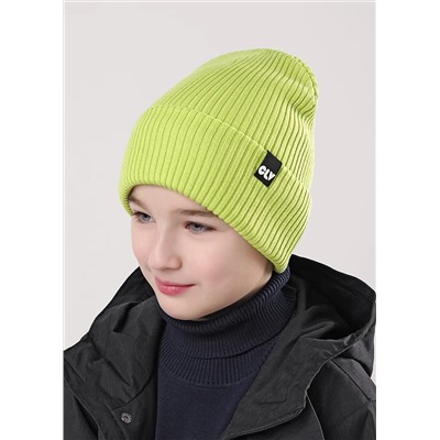 CLEVER Шапка 604387ха