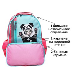 Рюкзак школьный, эргономичная спинка, 37×26×13 см «Котик панда»
