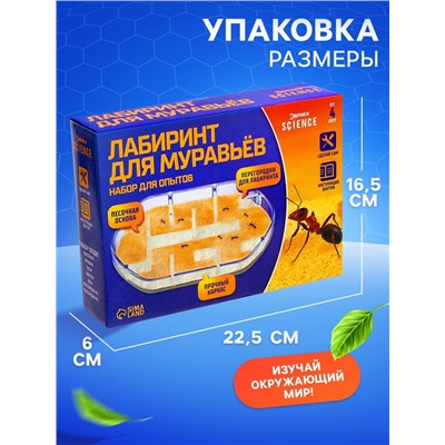 Набор для опытов «Лабиринт для муравьёв»