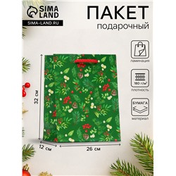 Пакет подарочный новогодний ламинированный «Веточки», 26×32×12 см