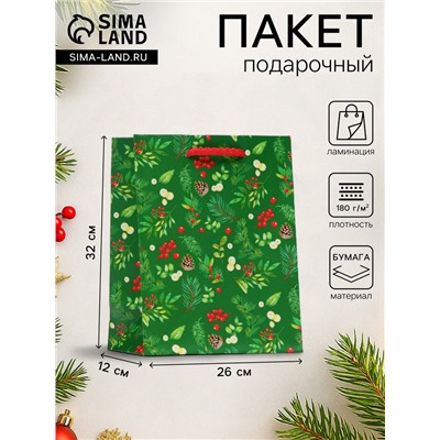 Пакет подарочный новогодний ламинированный «Веточки», 26×32×12 см
