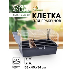 Клетка для грызунов «Пижон» №1 складная, 58×40×34 см (+миска, 2 кормушки), серая