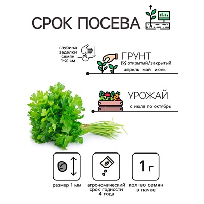 Семена Петрушка "Итальянский богатырь", 1 г