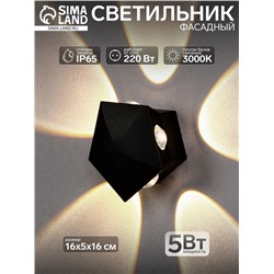 Светильник фасадный «Искра», 5 Вт, 3000К, 5 лучей, IP65, 220 В, пластиковый корпус, чёрный, свечение тёплое белое