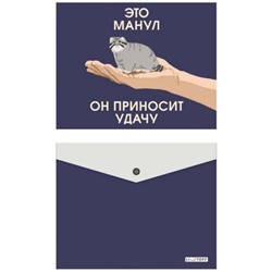 Папка с кнопкой  А5 180мкм "Милые звери" (Эксклюзив) ПКП50225 Эксмо