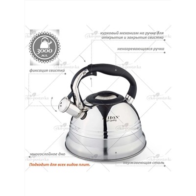 ZEIDAN Чайник Z-4156