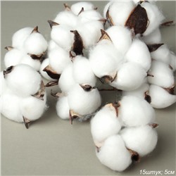 Цветок искусственный 15 штук 5 см белый / W-264 /уп 40/160/