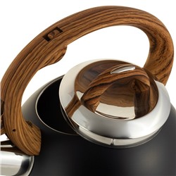 Чайник #23062776