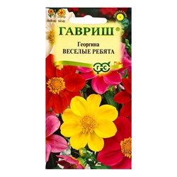 Набор семян Георгина воротничковая «Тип Топ», 0.3 г