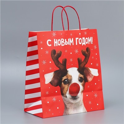 Пакет подарочный новогодний крафтовый «С Новым годом», 28×32×15 см