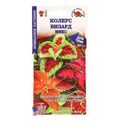 Семена комнатных цветов Колеус «Визард Микс», 10 шт., «Золотая Сотка Алтая» селекция PanAmerican Seed