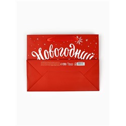 Пакет подарочный ламинированный «Новогодний подарок», MS 23×18×10 см