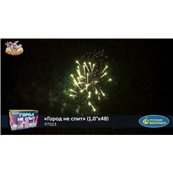 Фейерверк Р7503 Город не спит (1" х 48)