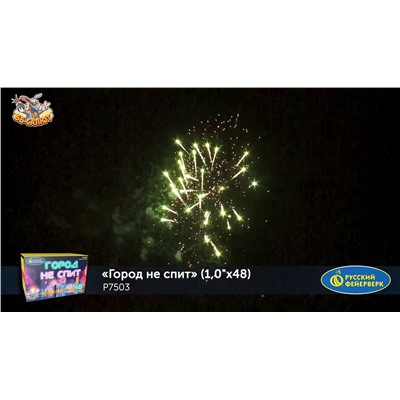 Фейерверк Р7503 Город не спит (1" х 48)