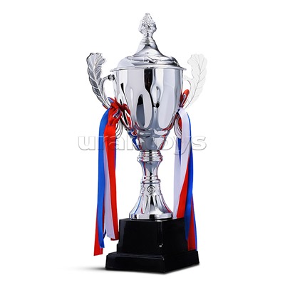 Кубок спортивный металл (29 см)