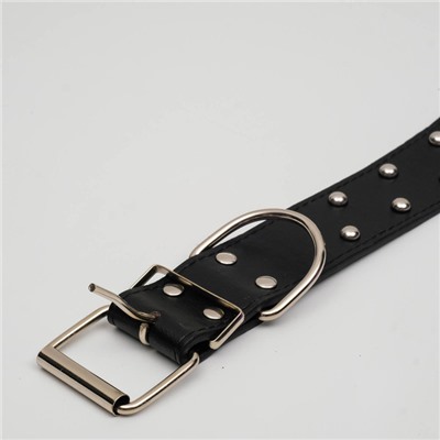 Ошейник клепаный в 2 ряда, 63.5×3.8 см, черный