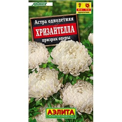 Астра Хризантелла Призрак оперы (Код: 93515)