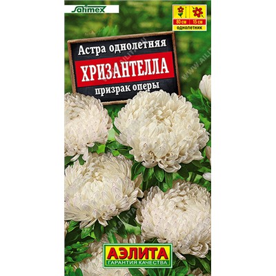 Астра Хризантелла Призрак оперы (Код: 93515)