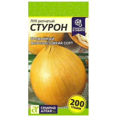 Лук репч. Стурон Сем.Алтая