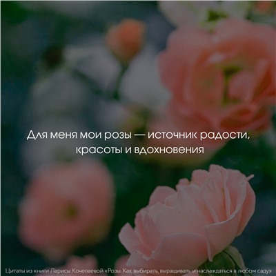 АСТ Лариса Кочелаева "Розы. Как выбирать, выращивать и наслаждаться в любом саду"