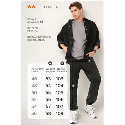 Мужские брюки из футера двухнитки Happyfox