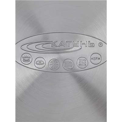 Кастрюля Катунь «ЭЛИС ГОЛД», 5.5 л, 24×13.5 см, стеклянная крышка, нержавеющая сталь, ручки золотистые