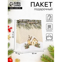 Пакет подарочный новогодний ламинированный, «Новогодний дом», 18×10×22.3 см